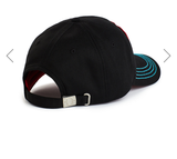 True Religion Cap