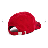 True Religion Cap